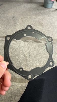 Gaxeta automotivo da porta do ODM do OEM para o certificado do ISO de BYD E5