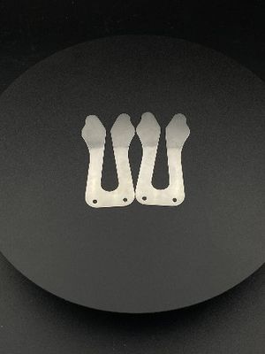 O OEM personalizou a placa de aço inoxidável da válvula da fabricação do produto