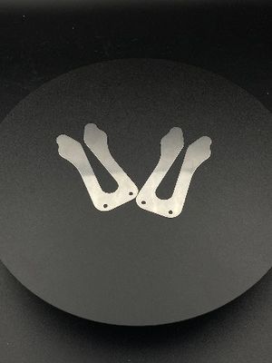 O OEM personalizou a placa de aço inoxidável da válvula da fabricação do produto