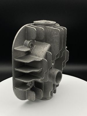 Cabeça de cilindro não padrão feita sob encomenda do motor do padrão do molde de metal do silicone