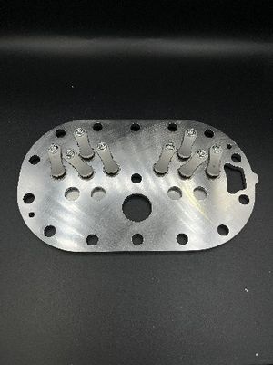 Placas personalizadas da válvula para a placa industrial da válvula do compressor das aplicações