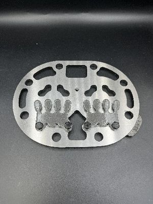 As várias placas irregulares da válvula podem igualmente ser placa personalizada da válvula do compressor
