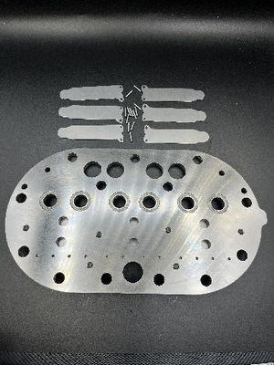 15P Copeland Refrigeration Compressor Valve Plate Assembly & Valve Reeds para frigorífico de armazenamento a frio