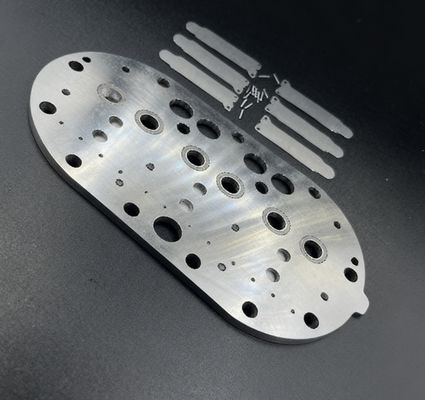 15P Copeland Refrigeration Compressor Valve Plate Assembly & Valve Reeds para frigorífico de armazenamento a frio